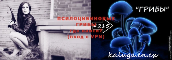 молекула духа Навашино
